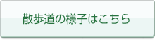 �U�����̗l�q