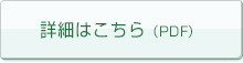 �ڍׂ͂�����iPDF�j